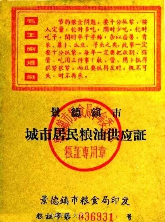 🔥「粮票迭代记：解锁每一代人的创新密码」🔑